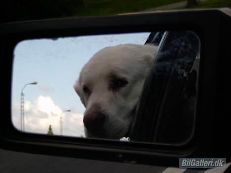 Opel ascona c 2,0i  billede 11