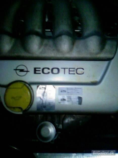 Opel Tigra billede 7