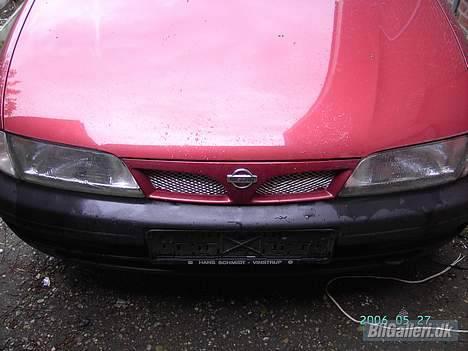 Nissan Almera (den gamle slæde) billede 2