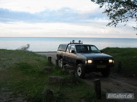 Nissan King cab 4x4  *DØD* - og her har vi lige været en tur på stranden... billede 14