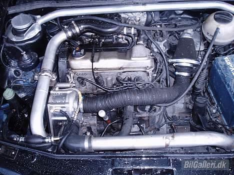 VW BlackWolf Golf 3 SOLGT billede 11