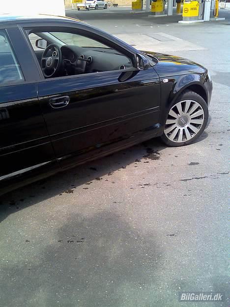 Audi A3 - Siden af dyret, man kan lige skimte skærmen i bilen :) billede 2