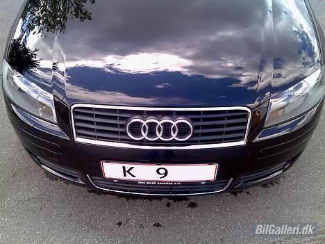 Audi A3 - Fronten, ser lidt ond ud :) billede 6