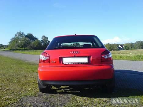 Audi A3  - Diode Baglygterne billede 3