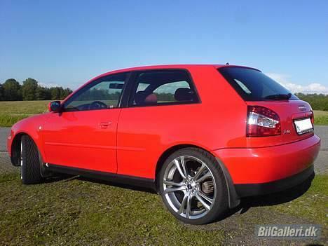 Audi A3  - ku godt sænkes 30-35mm på røven! billede 6