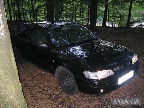 Toyota Corolla *solgt* - i skoven et smut billede 4