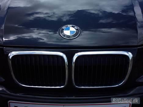 BMW 316 I compact Bavari billede 13