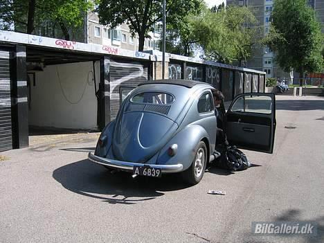 VW oval - min bobbel taget bagfra :-)))) billede 2