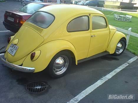 VW Bobbel        113 De Luxe billede 2