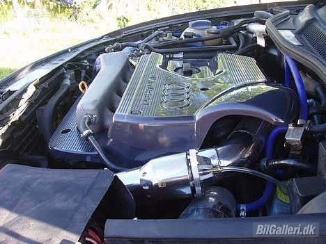 Audi A3 1.8T Quattro  billede 2