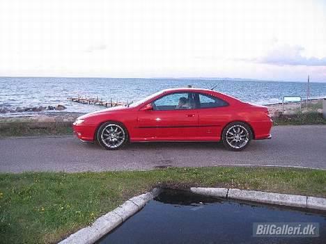 Peugeot 406 Coupe billede 13