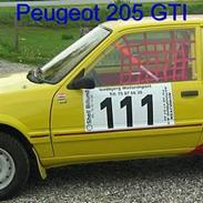 Peugeot 205 (rallycross)SOLGT