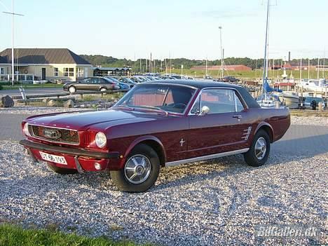 Ford Mustang - Solgt - Så blev bilen synet - og vasket :) billede 11