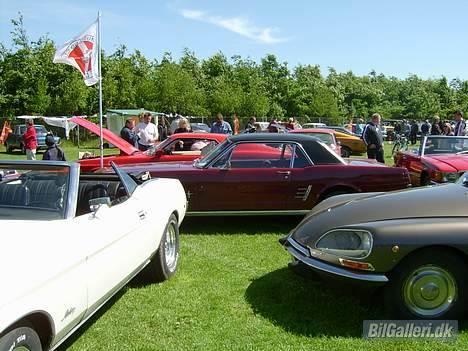 Ford Mustang - Solgt billede 12