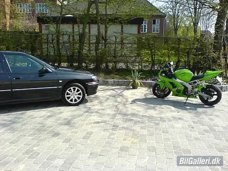 Peugeot 406 TS4 - TS4 + min nu solgte Kawasaki ZX6R 636 billede 17