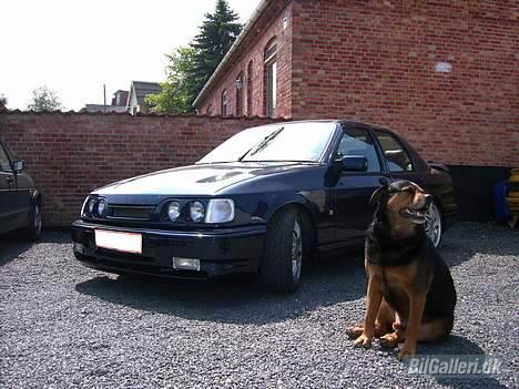 Ford sierra GT billede 4