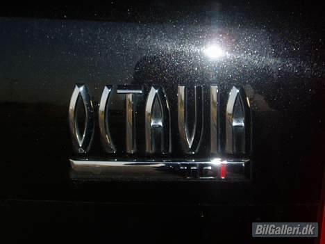 Skoda Octavia - TDI power! billede 6