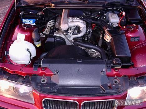 BMW 316I E36 billede 4