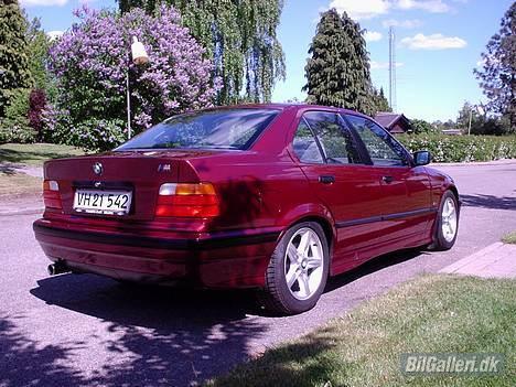 BMW 316I E36 billede 5