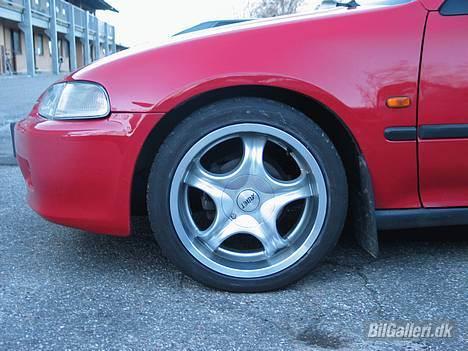 Honda Civic billede 8