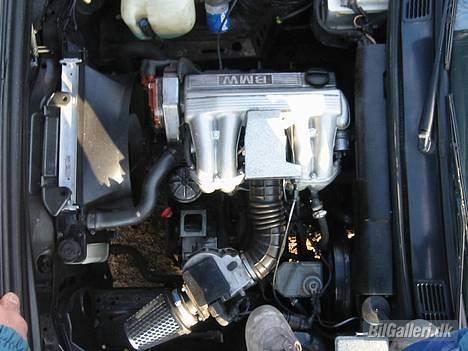 BMW 318i (Solgt).. - Det pæne og velholdte motorrum billede 4