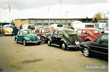 VW Bobbel  billede 5