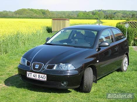 Seat Ibiza Stella 3-døre DØD - Bilen set forfra billede 1