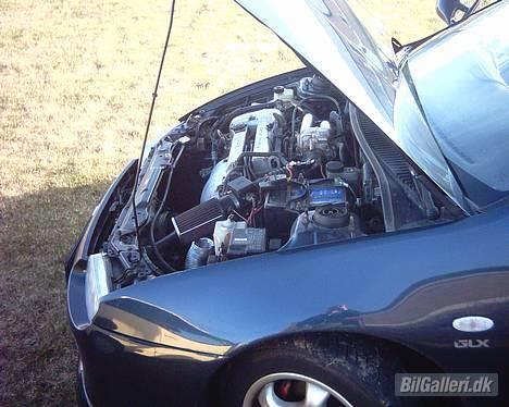 Mazda (( SOLGT)) - Lige et billed af de små heste billede 7