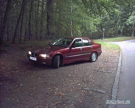 BMW 320 I billede 5