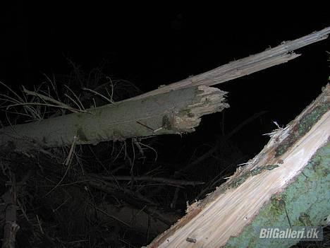 Mitsubishi L200 strada død ved kølle - træet kunne ikke holde til jeg skulle forbi billede 15