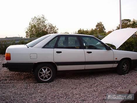 Audi 100 Prinsesse Berta SOLGT billede 1