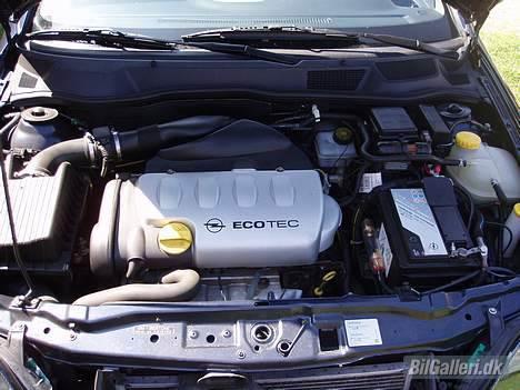 Opel Astra coupe billede 6