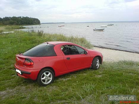 Opel Tigra - Med havet som baggrund... billede 19