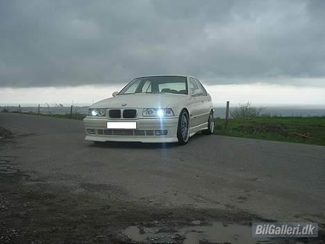 BMW E36 SOLGT billede 4