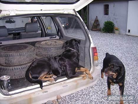 Opel Kadett E - Randi SKROTTET billede 7