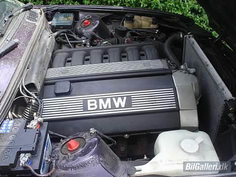 BMW 320i cabriolet [Tidl bil] billede 8