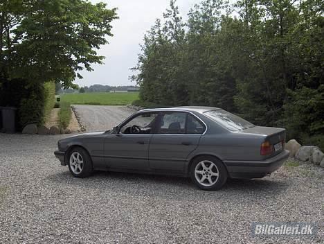BMW 520 iA E34 *SOLGT* billede 12