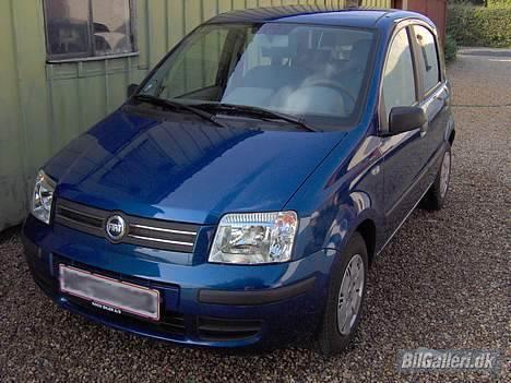 Fiat Panda Ciao  billede 5