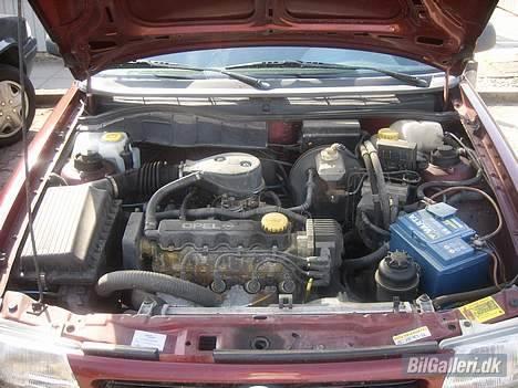 Opel Astra F 1,6 -Totalskadet- - Her er så stalden til de 75 hypper. :) billede 20