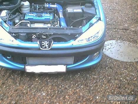 Peugeot 206 Kompressor 182 hk - peugeoten byder op til dans. billede 6