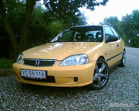 Honda Civic billede 1