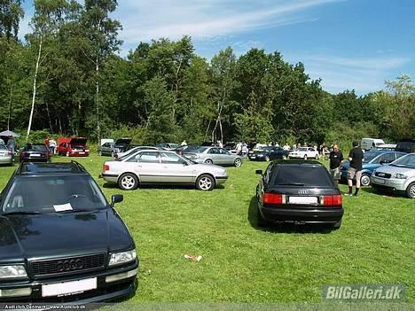 Audi 80 avant  - audi træf 06 fyn. billede 3