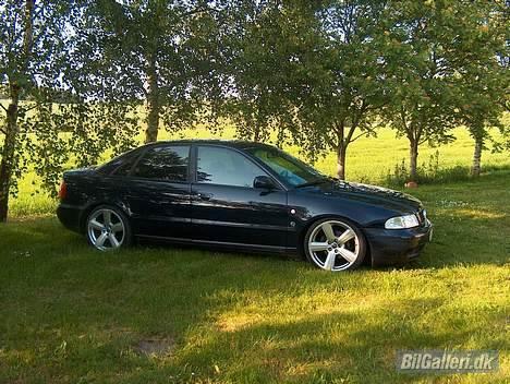 Audi A4 solgt billede 17