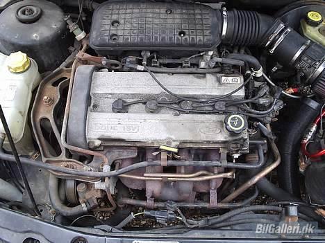 Ford Mondeo R.I.P billede 6