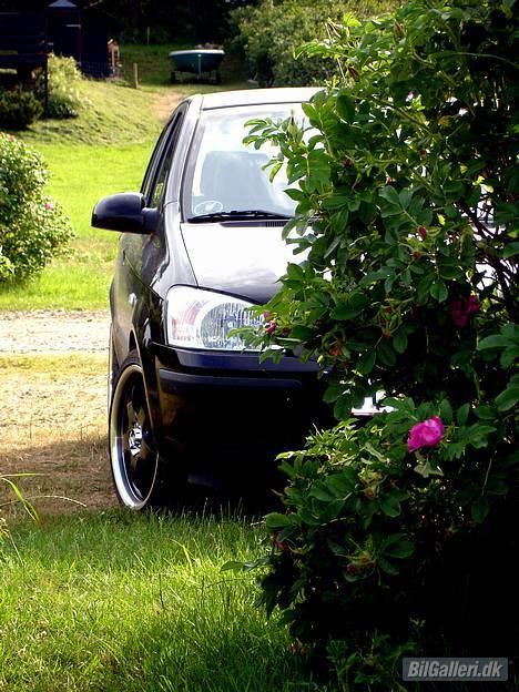 Hyundai Getz [SOLGT] - Kigger frem bag busken i sommerhuset billede 1