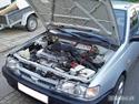 Nissan Sunny  *SOLGT*