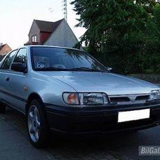 Nissan         Sunny  *SOLGT*
