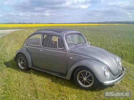 VW Bobbel 1500 - Nyere billede billede 8