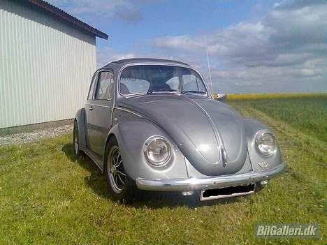 VW Bobbel 1500 billede 9