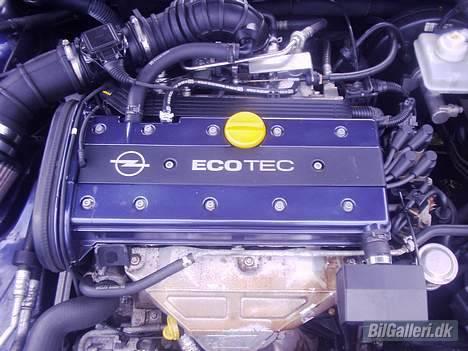 Opel Vectra b - Infarvet i bilens farve... det tog sku ikke ret lang tid.. billede 16